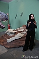 VBS_1007 - Dinosauri. Terra dei giganti